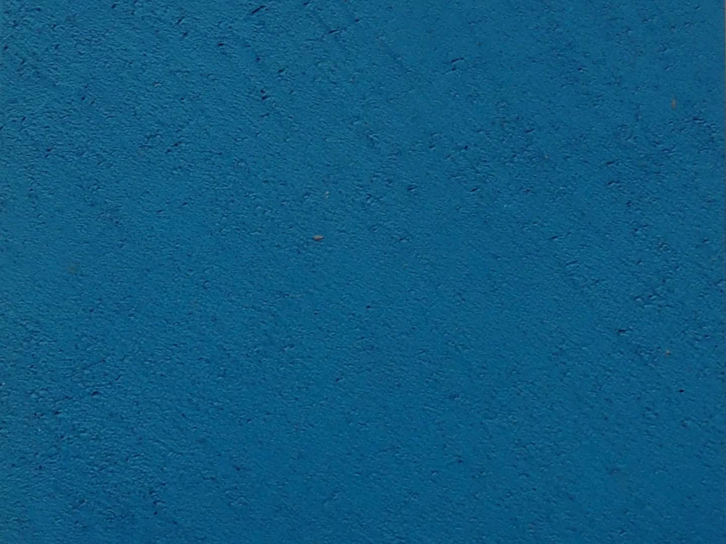 #Couleur_Bleu canard
